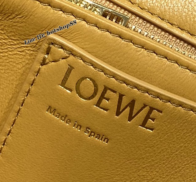 Loewe專櫃2022新款Goya羊皮包包女款肩背包 羅意威甜甜圈金屬短鏈條女包 型號9801# lyw1540